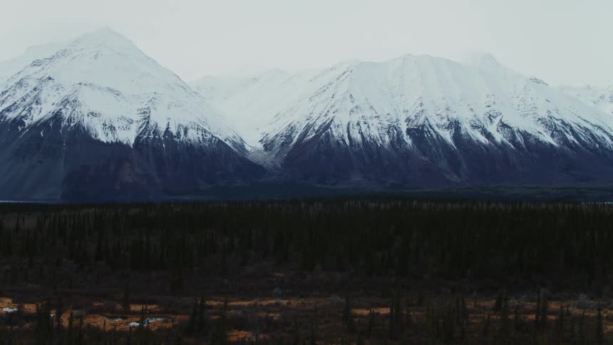 Aerial view of a distant mountain range with peaks covered in snow in front of a forest at daytime