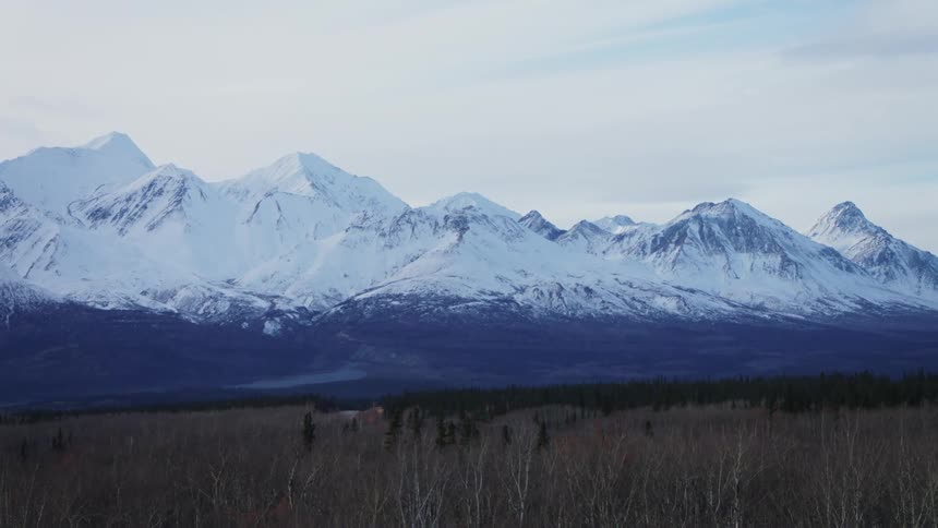 An aerial of a snow covered mountain range with forests at the bottom