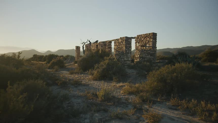 Ruins of old sections of wall in the desert made of stone are standing among plants and vegetation with mountains in the distance
