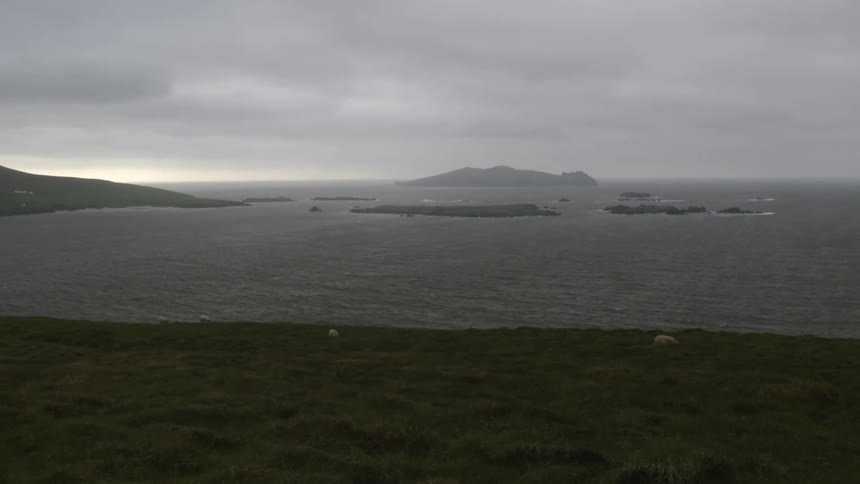 A beach on a foggy day is displayed
