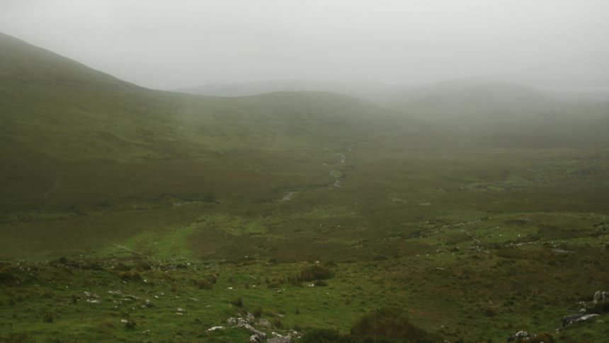 Green grass on the fields and hills in the wilderness under the mist