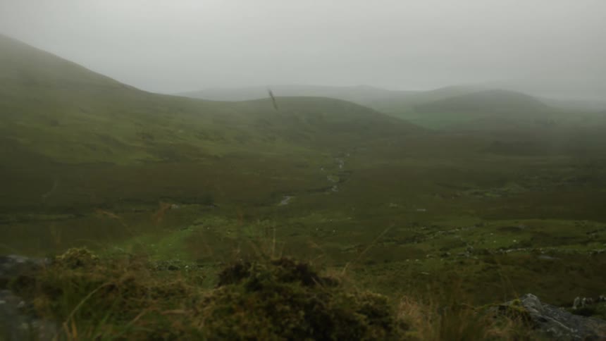 A grassland landscape is covered in mist