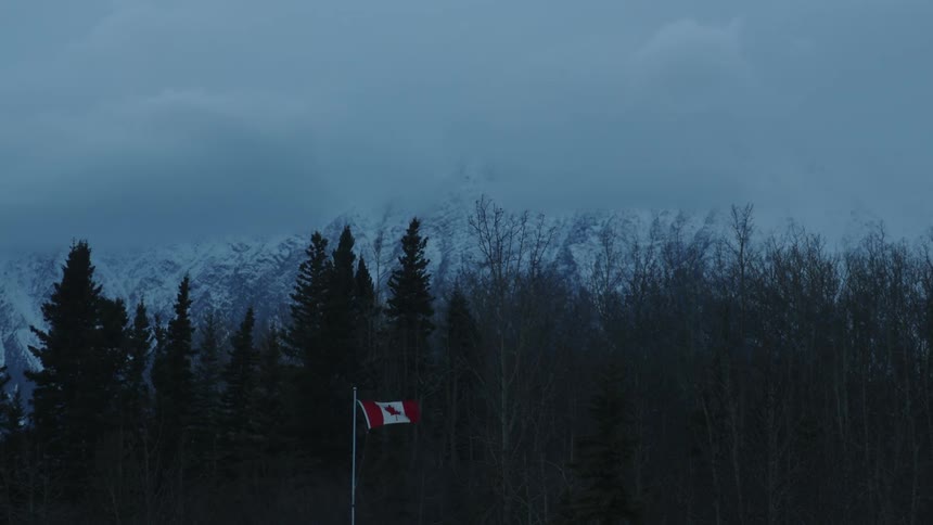A forest is surrounding the mountainous landscape