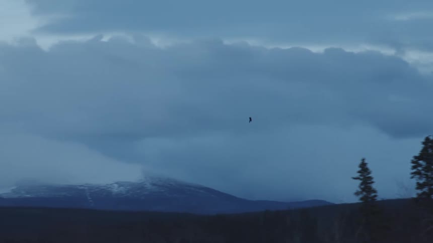 Bird flies over the fields near the snow covered mountains under white clouds at evening