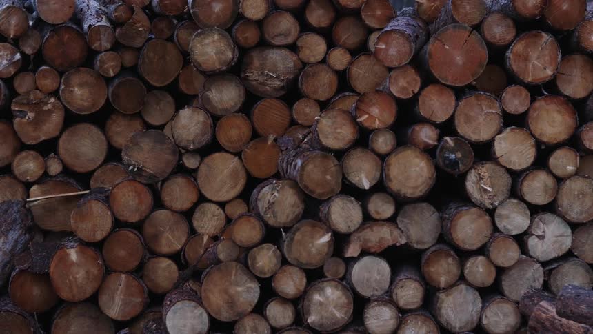 Chopped firewood sits in a pile