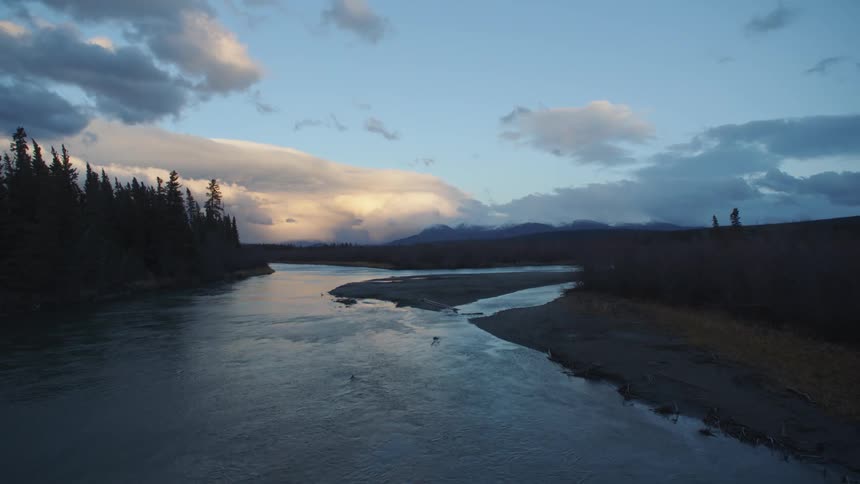 Trees wave in the wind near a river on a cloudy day