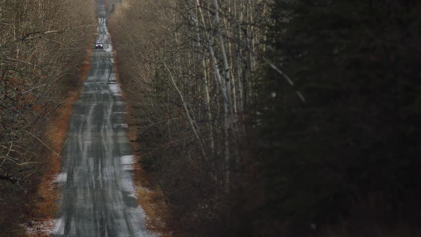 A car is driving through a wooded area