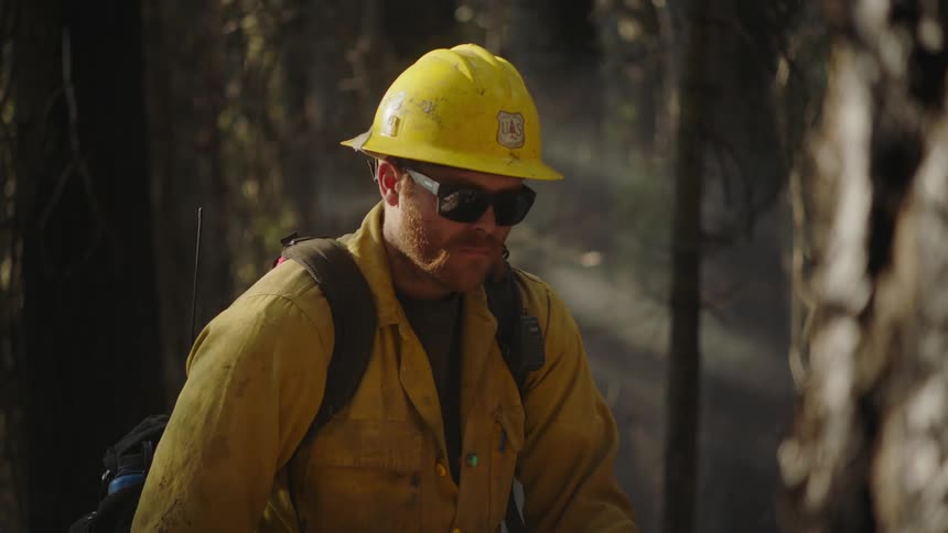 A man wearing a hardhat and sunglasses is standing near trees in the woods looking ahead as smoke moves behind him