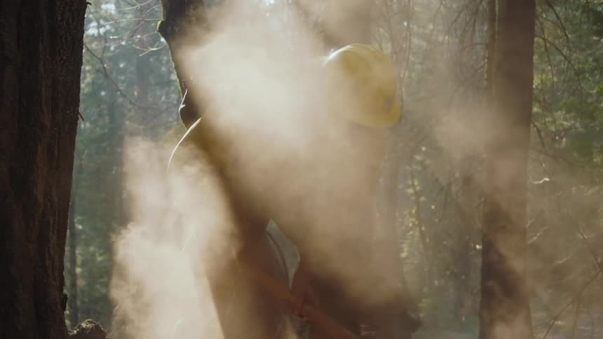 A worker in the woods wearing a yellow helmet and using tools on the ground