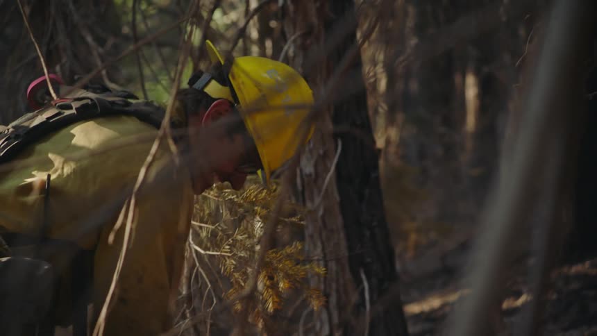 A firefighter working in a forest using a tool on the ground