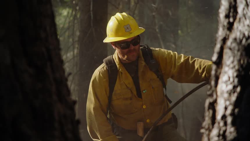 A man using a pressured hose to spray around trees in the forest while he wears a yellow hardhat