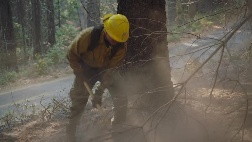 A construction worker is outside digging near a tree in the woods as dust and smoke fills the air