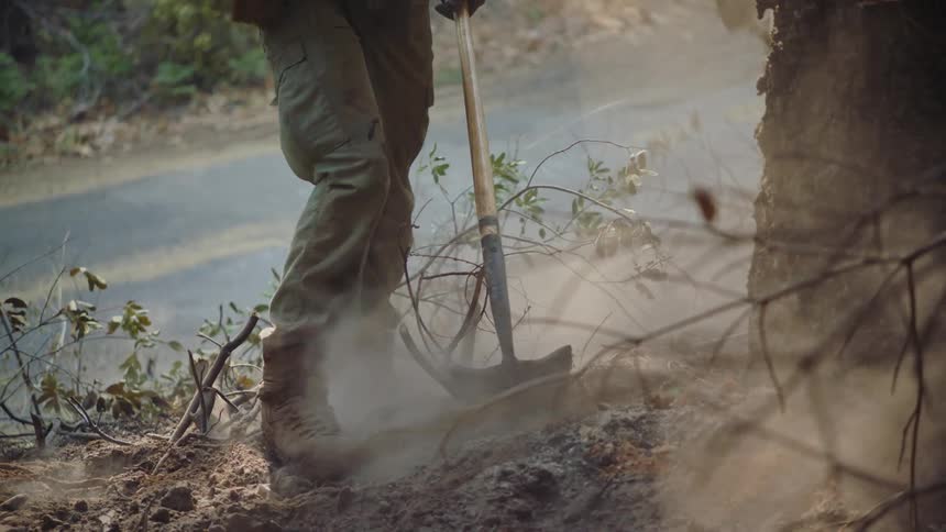 A man wearing a hardhat is outside digging near a tree in the woods as smoke rises from the ground