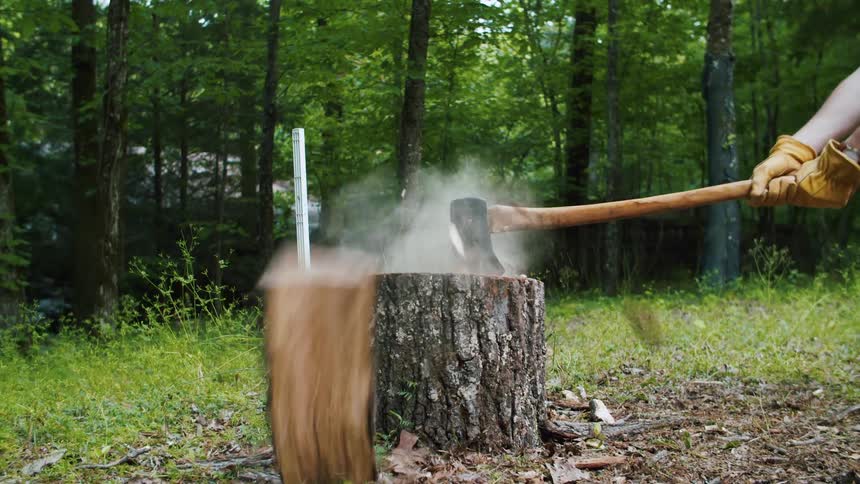 A log stands on a tree stump as a man wielding an axe splits it in two