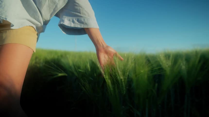 A woman touches the grass as she walks through it