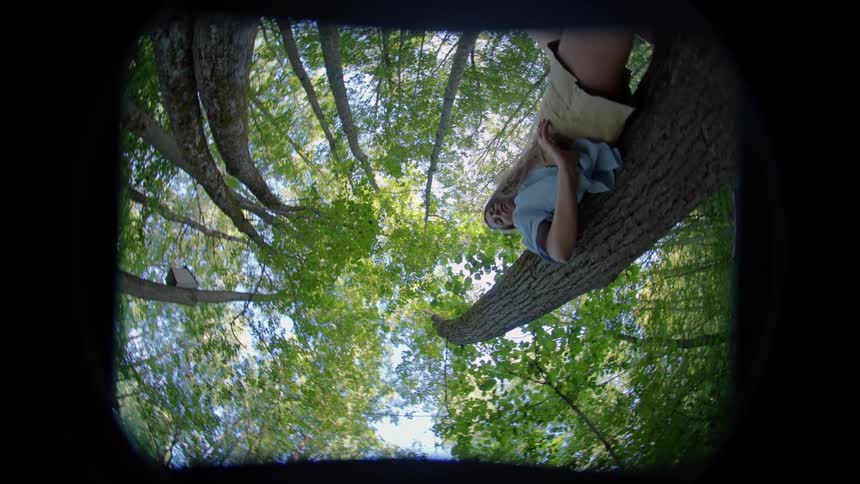 A woman standing on a tree trunk in the forest as the camera surrounds her and shoots different angles
