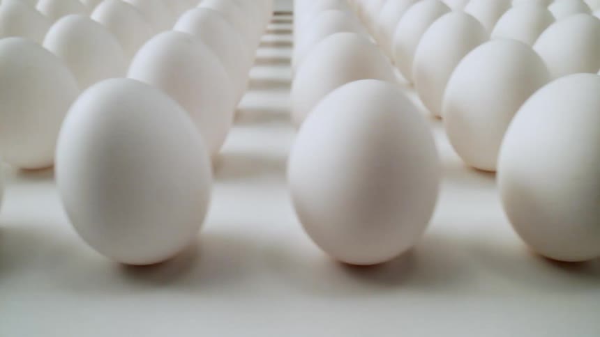 Eggs are displayed in rows and columns