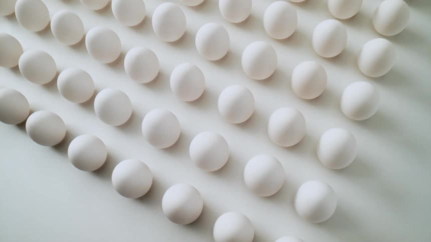 Many eggs are placed on a table for the display