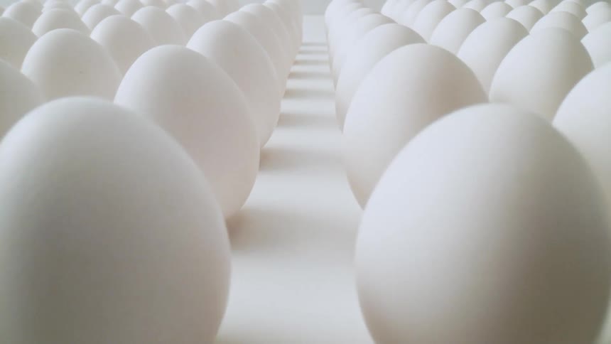 The camera zooms between rows of eggs stood on end against a white background