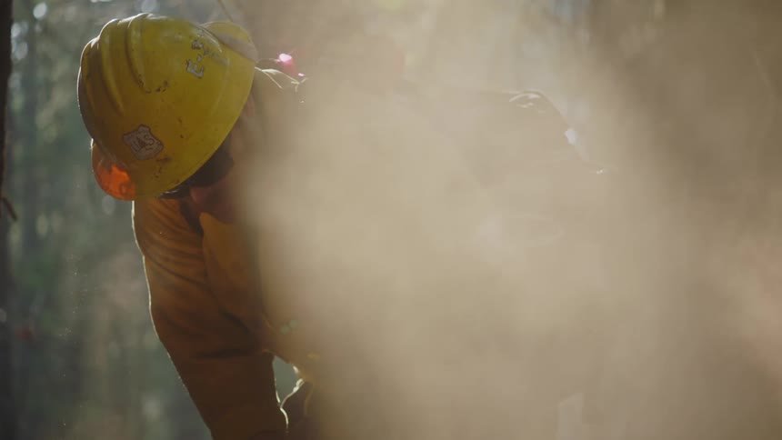 A man working in the woods wearing a hard hat and using a tool on the ground