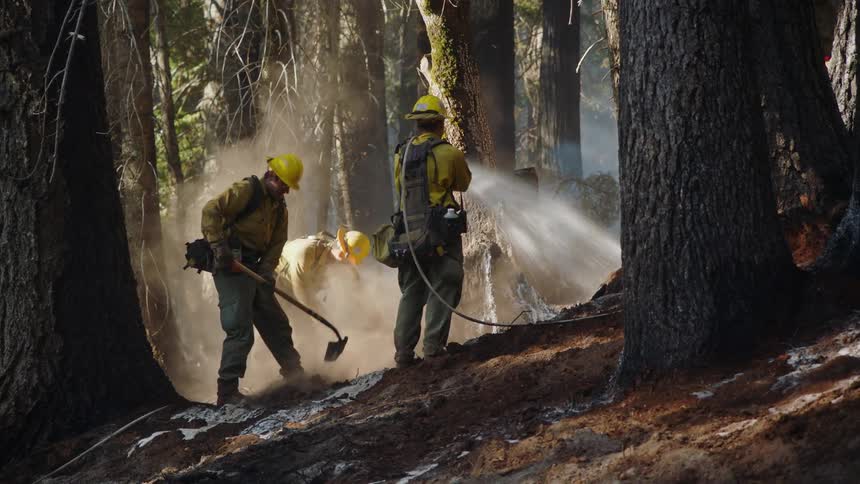A group of workers are burning out a tree stump in the woods as smoke rises