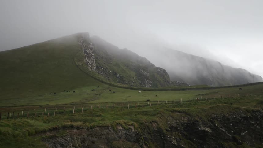 A field with bright green grass with a cliff in the foreground and a misty rocky hill in the background with cows dotting the landscape