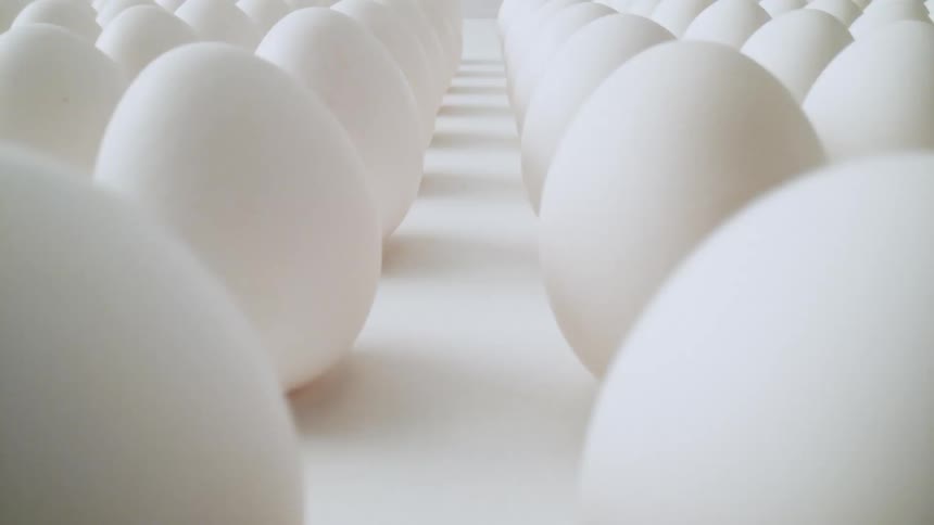 Eggs are on display in rows and columns