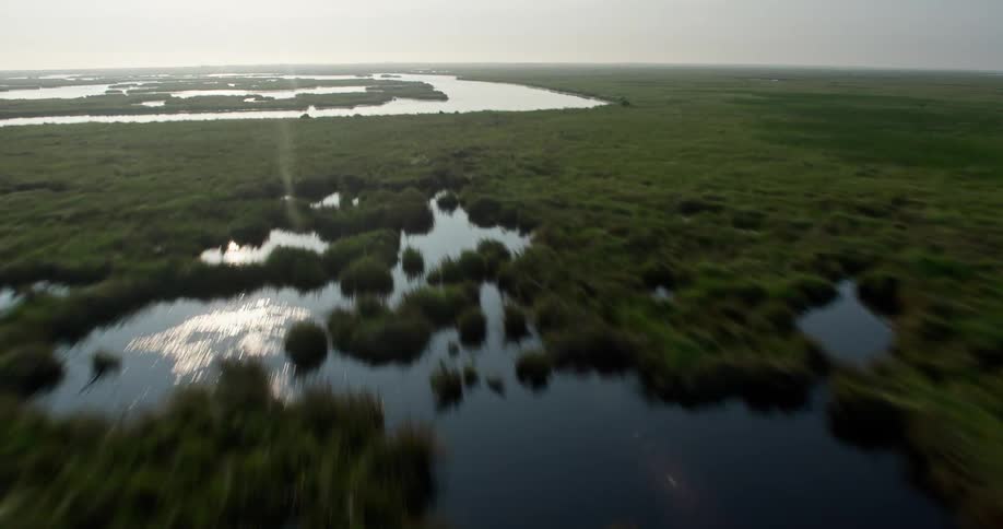 Aerial footage of St Bernard Parishs marshland and bayou at sunrise with a low altitude flight and tilting up shots showcasing the wetlands and nature