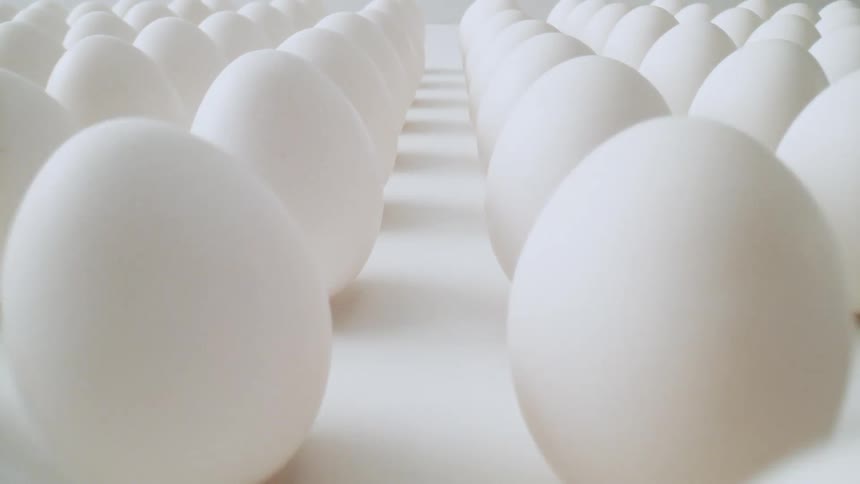 More than a dozen eggs are on a table for the display