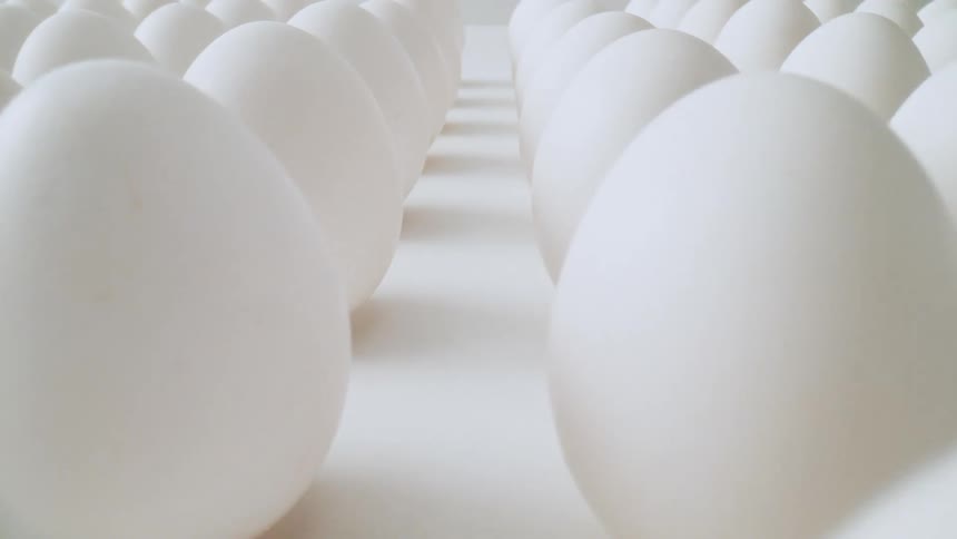 Rotating view of rows of white eggs