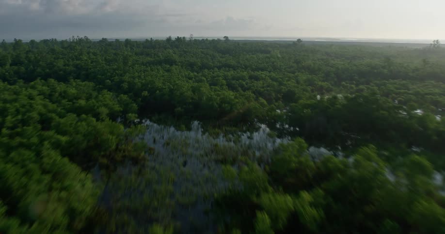 A low flying 4K aerial view at sunrise reveals a surge barrier in marshland and bayou in St Bernard Parish Louisiana