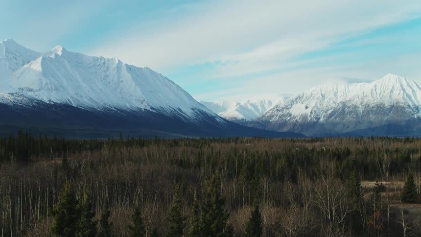 An aerial landscape view of a snowcapped mountain peaks at the edge of a green forest