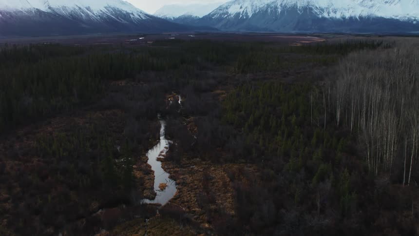 An aerial of a swampy forest area revealing snow covered mountain ranges in the distance