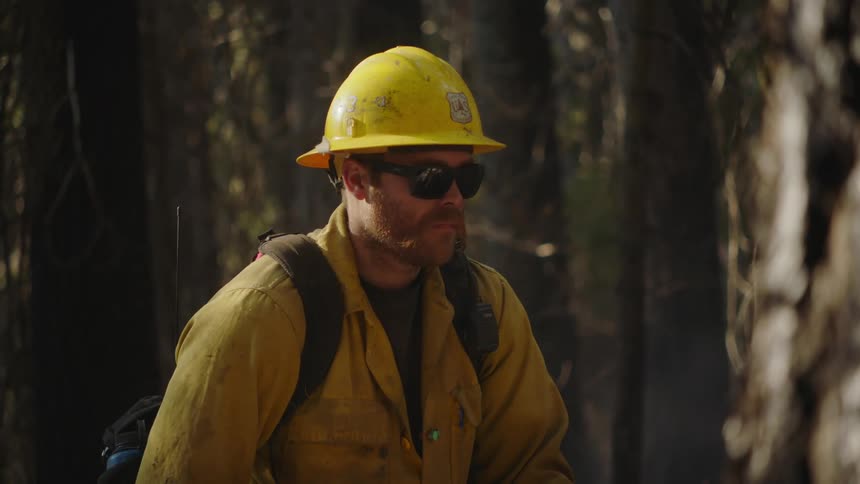 A man wearing a hardhat and sunglasses is standing near trees in the woods looking ahead