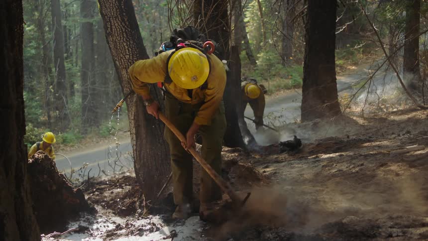 A team of firemen are in the woods digging as smoke rises from the ground