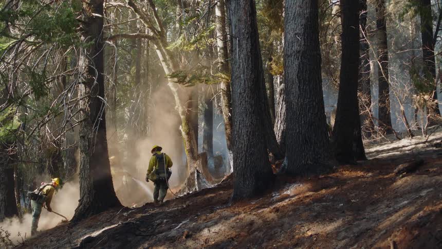 Two firefighters water ground while another firefighter digs at dirt in woods to completely put out fire