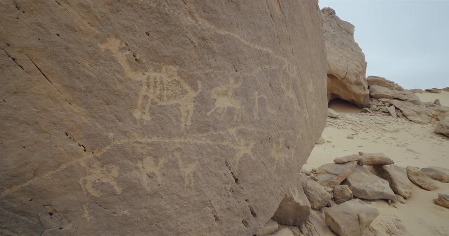 Petroglyphs of animals are carved into a boulder in the desert