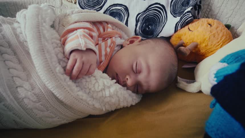 A swaddled newborn baby sleeps in a bassinet near some soft knit toys