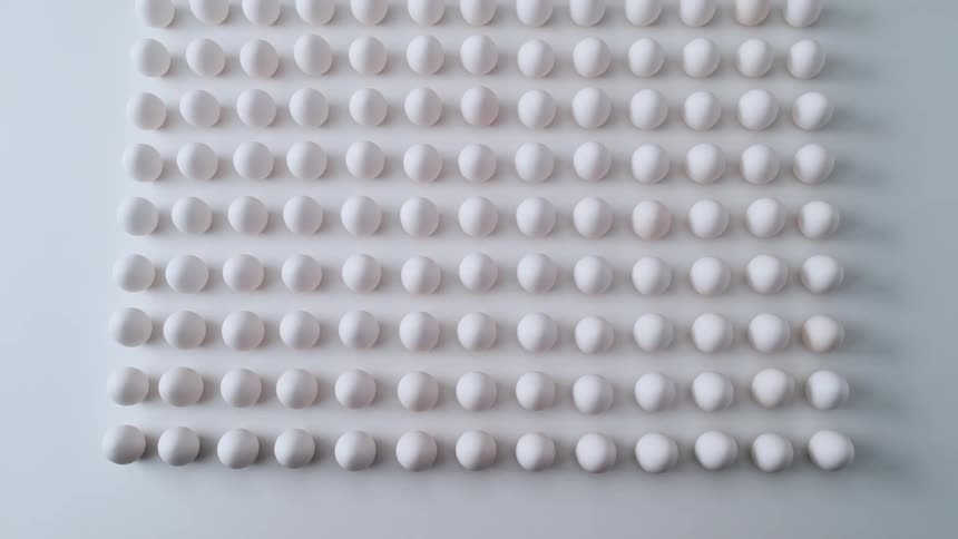 A large group of eggs are lined up