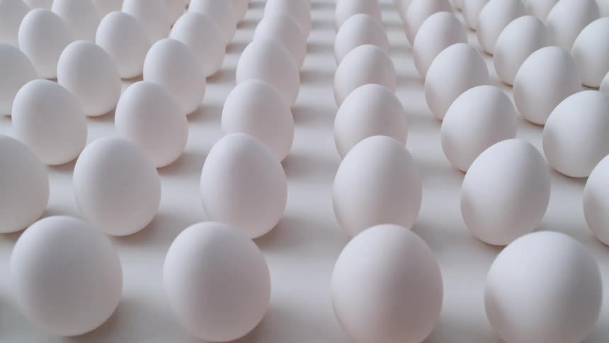 Rows of eggs are stood up in a perfect rectangle against a white background