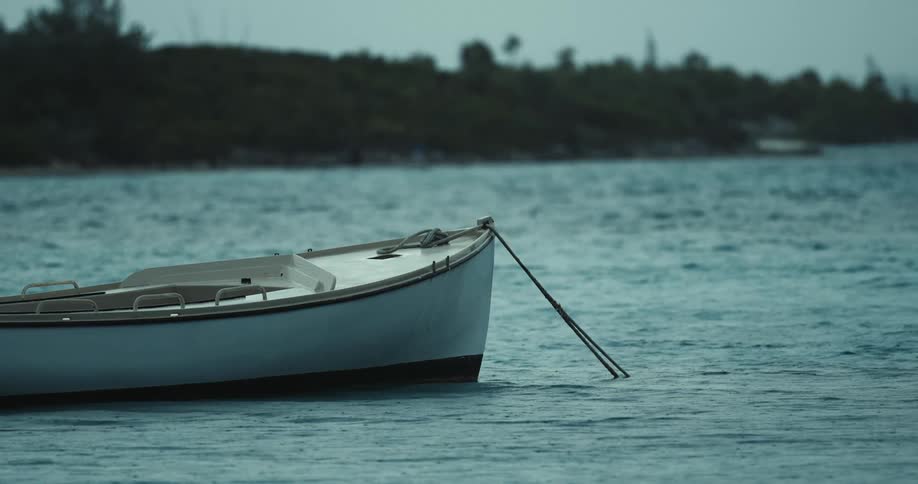 A boat sits docked in a lake
