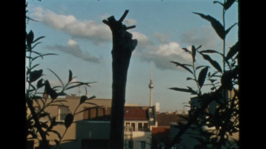 Time lapse footage of clouds rolling over the city behind the silhouette of plants