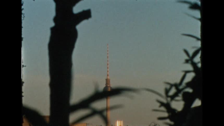 Branches allow view of space needle towering over other buildings