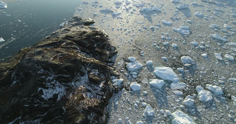 Sea ice and icebergs float near coast on water reflecting sunlight