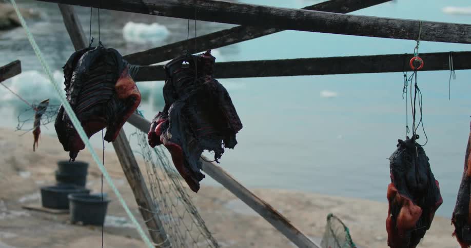 Butchered animal meat hangs in structure on coast of water dotted with sea ice