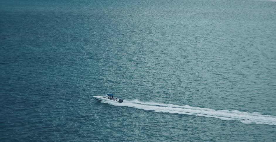 Sunlight reflects on the ripples and waves as a motorboat sails across the water and leaves a trail behind it
