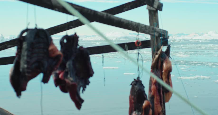 Raw meat haning from rope on a wooden platform as the arctic ocean is in the background with icebergs