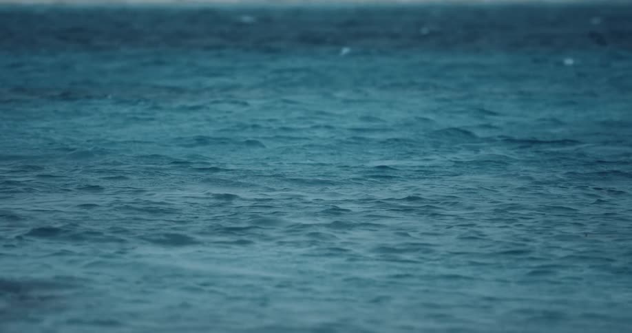 Waves in the body of water are moving