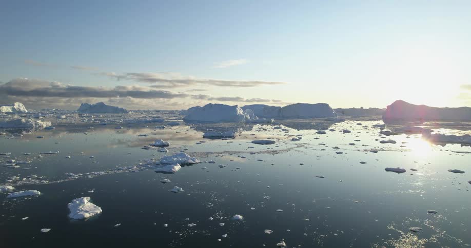 The sun shines brightly upon the water as icebergs and pieces of melting ice float on the water