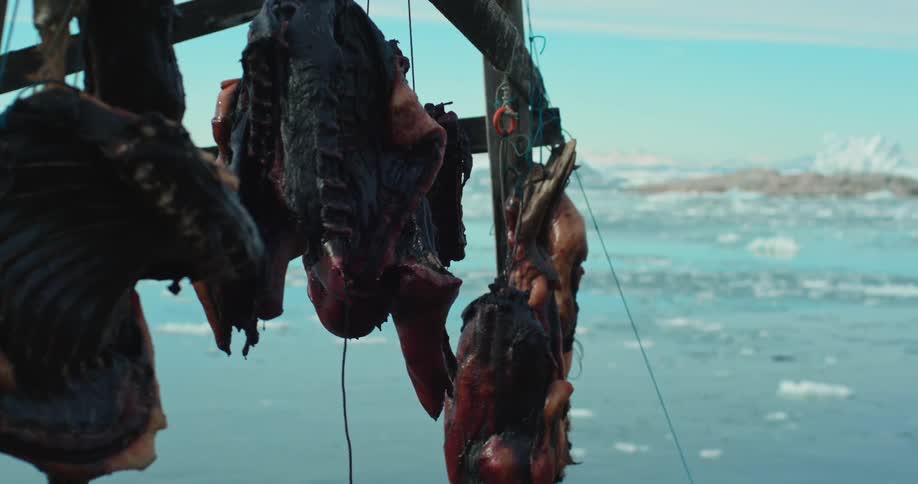 Close up of pieces of meat hanging from a drying rack in front of the arctic ocean